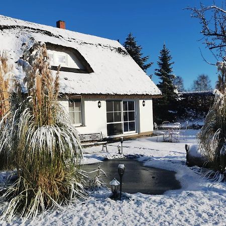 Reetferienhaus - Schaprode Hafen Kültér fotó