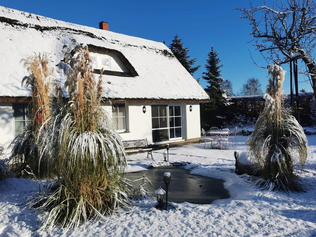 Reetferienhaus - Schaprode Hafen Kültér fotó